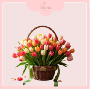 Lẵng hoa tulip sang trọng