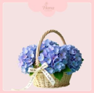 Lẵng hoa cẩm tú cầu may mắn