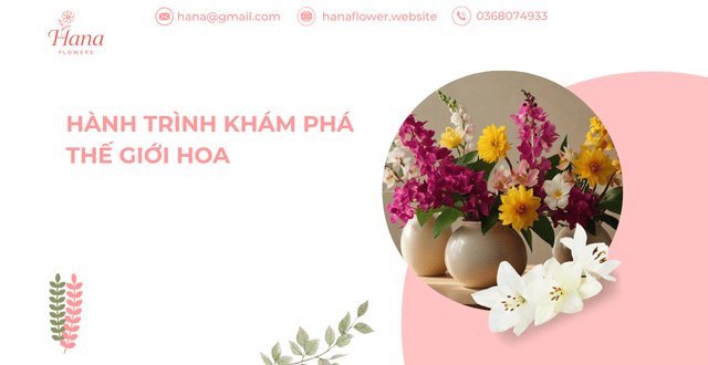 Khám Phá Các Loại Hoa – Hành Trình Đầy Màu Sắc Của Thế Giới Hoa