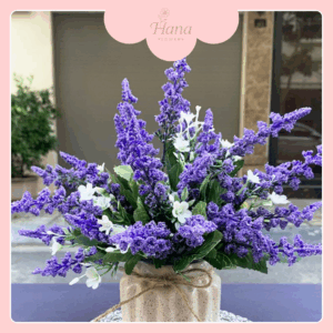 Hoa Violet – Dư Âm Tím Nhẹ