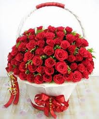 cây hoa hồng giả đẹp