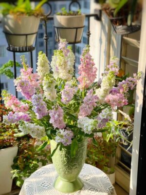 Hoa giả Hàng Lược