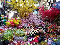 Hoa giả Hàng Lược hoa giả Hàng Lược