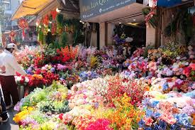 Hoa giả Hàng Lược hoa giả Hàng Lược