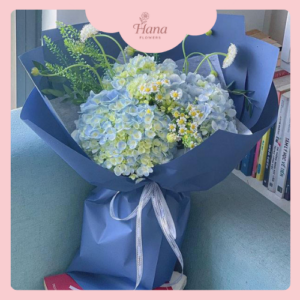 Hoa cẩm tú cầu xanh