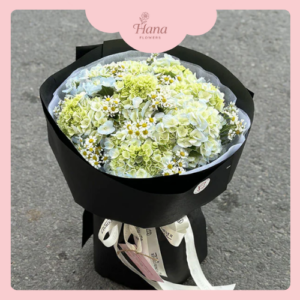 hoa cẩm tú cầu xanh lục