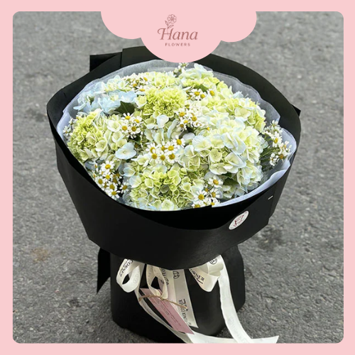 hoa-cam-tu-cau-xanh-luc hoa cẩm tú cầu xanh lục